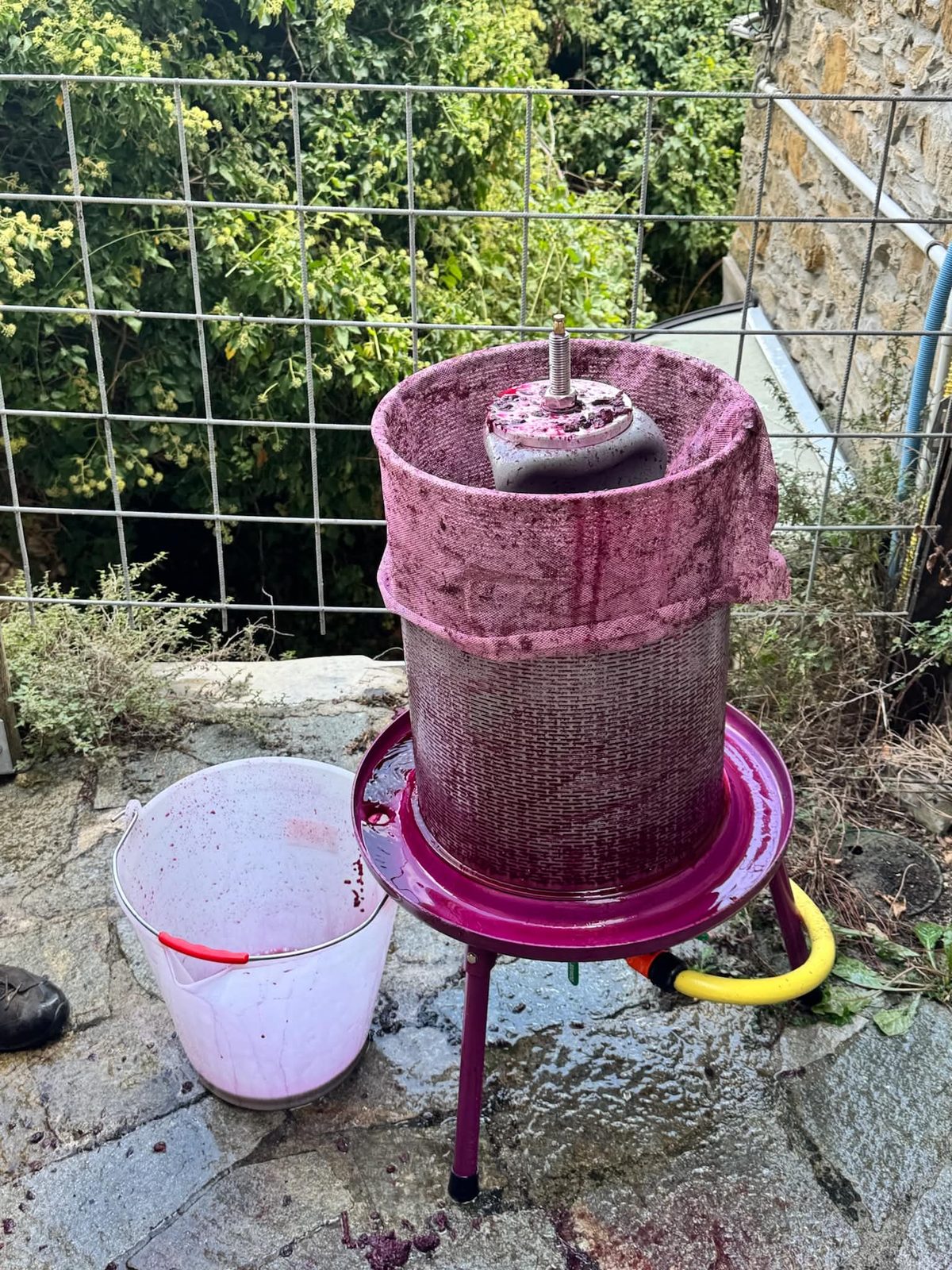 Vinpresse i arbejde